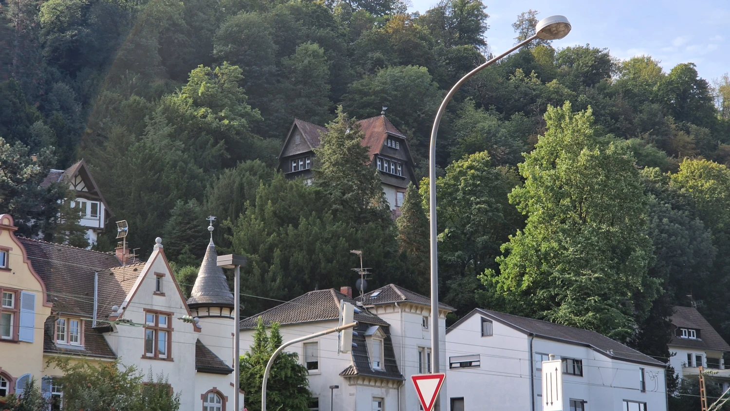 Schöne Wohnlage wird verschandelt durch Laterne, die für negative äußere Strukturen sorgen könnte, Silvia Bischoff Feng Shui