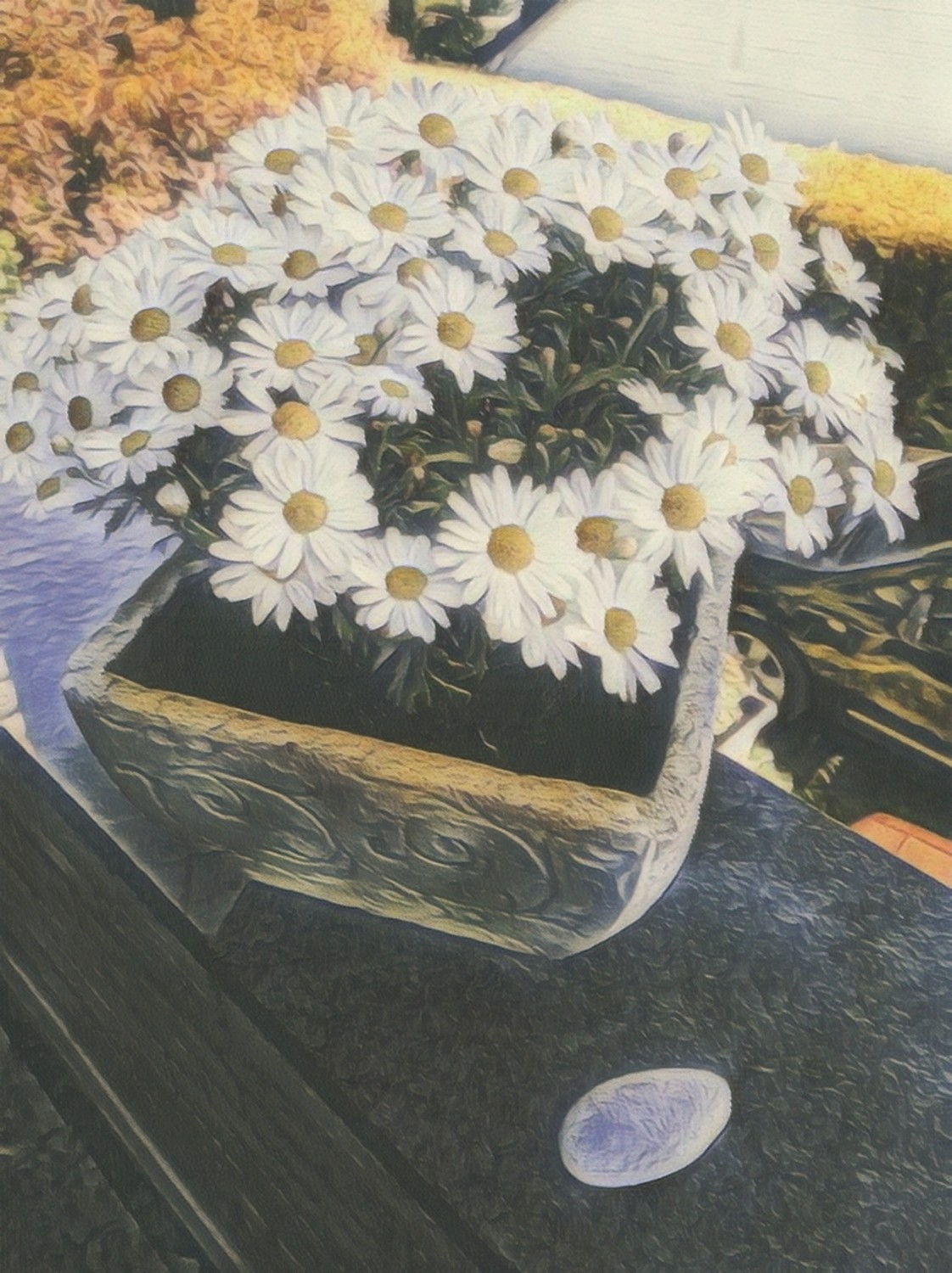 Eine Pflanze als einfache und schnelle Feng Shui Maßnahme, Silvia Bischoff Feng Shui, mehr als 24 Jahre in Schleswig Holstein