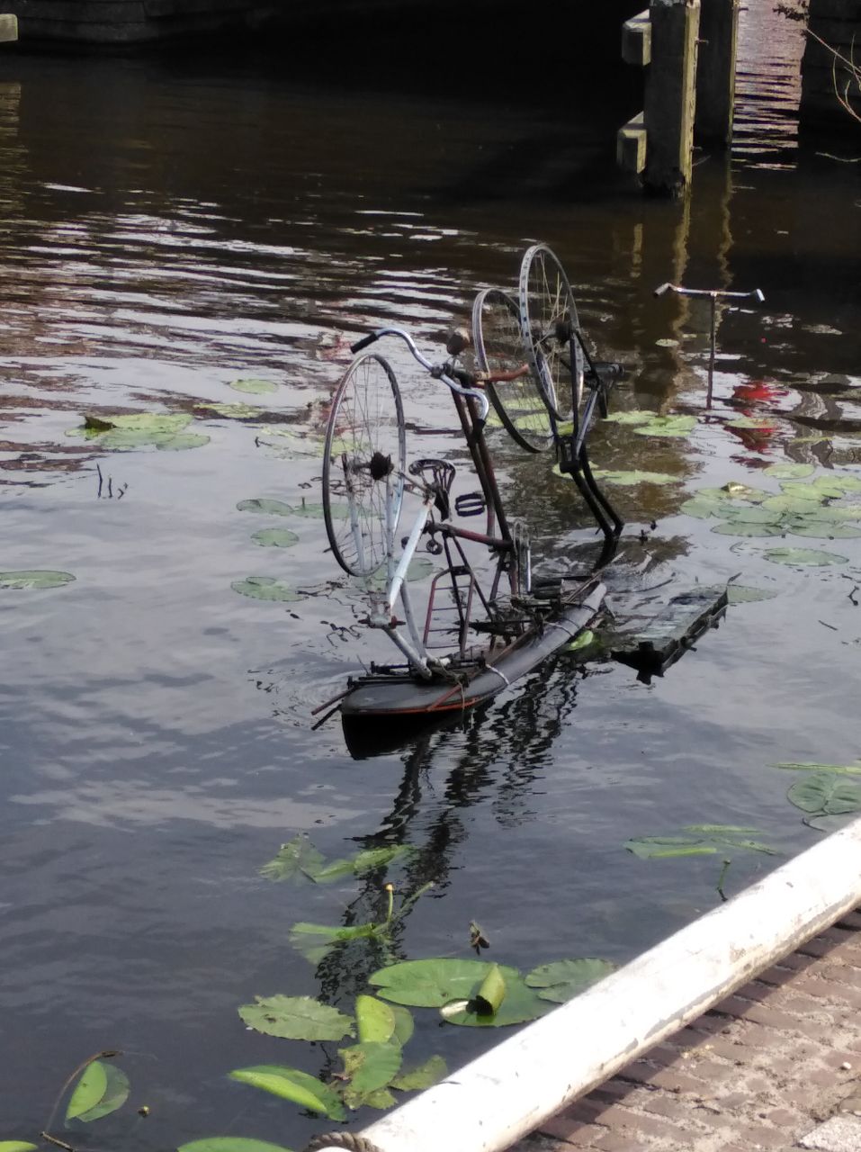 Kunstwerk aus einem kopfstehenden Fahrrad auf einem SUP auf einem Gewässer gesehen von Silvia Bischoff Feng Shui Deutschland